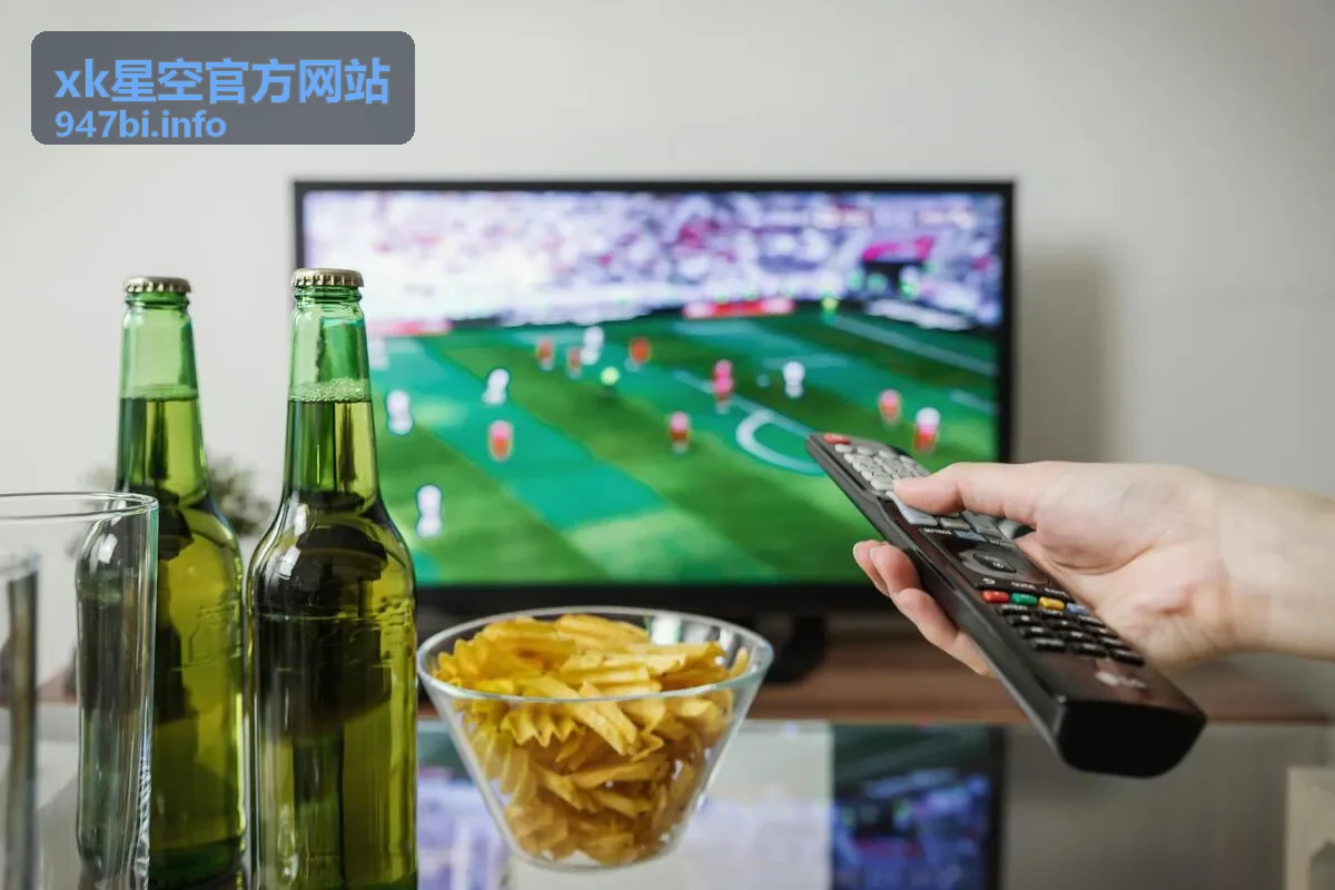 xk星空官方网站 玩法进阶指引封面